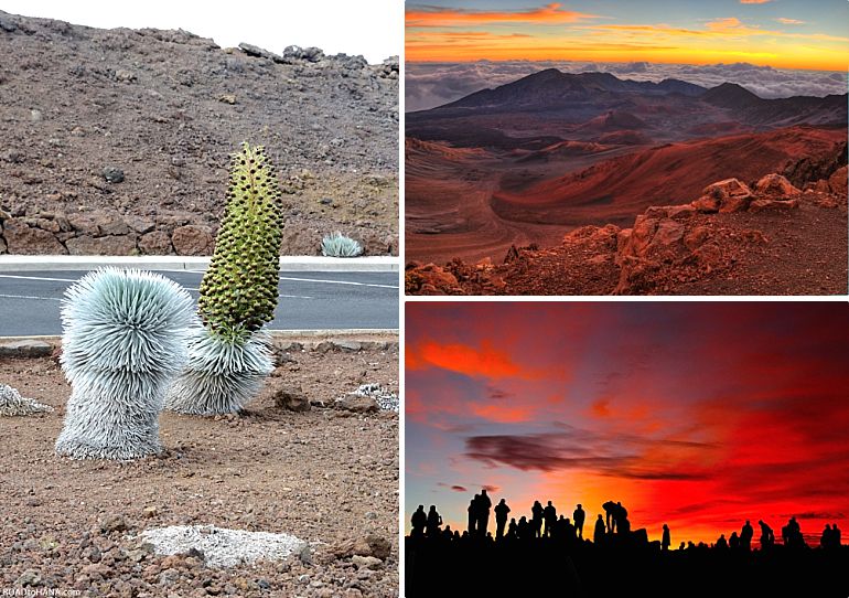 Haleakala Sunrise Tour