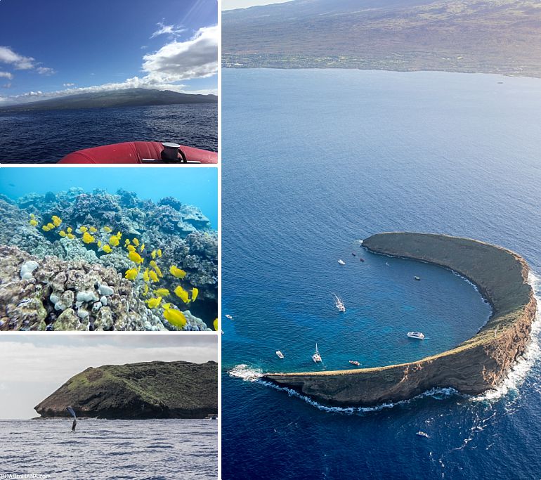 Molokini Snorkeling Maui